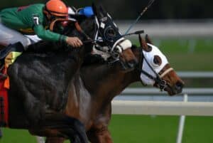 Chevaux au galop lors du Prix du Jockey Club à Chantilly