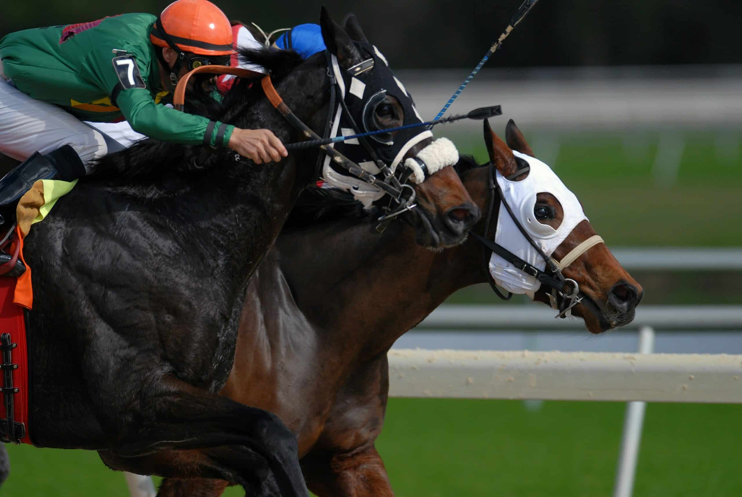 Lire la suite à propos de l’article Pourquoi aimons-nous le Qatar Prix du Jockey Club 2026 ?